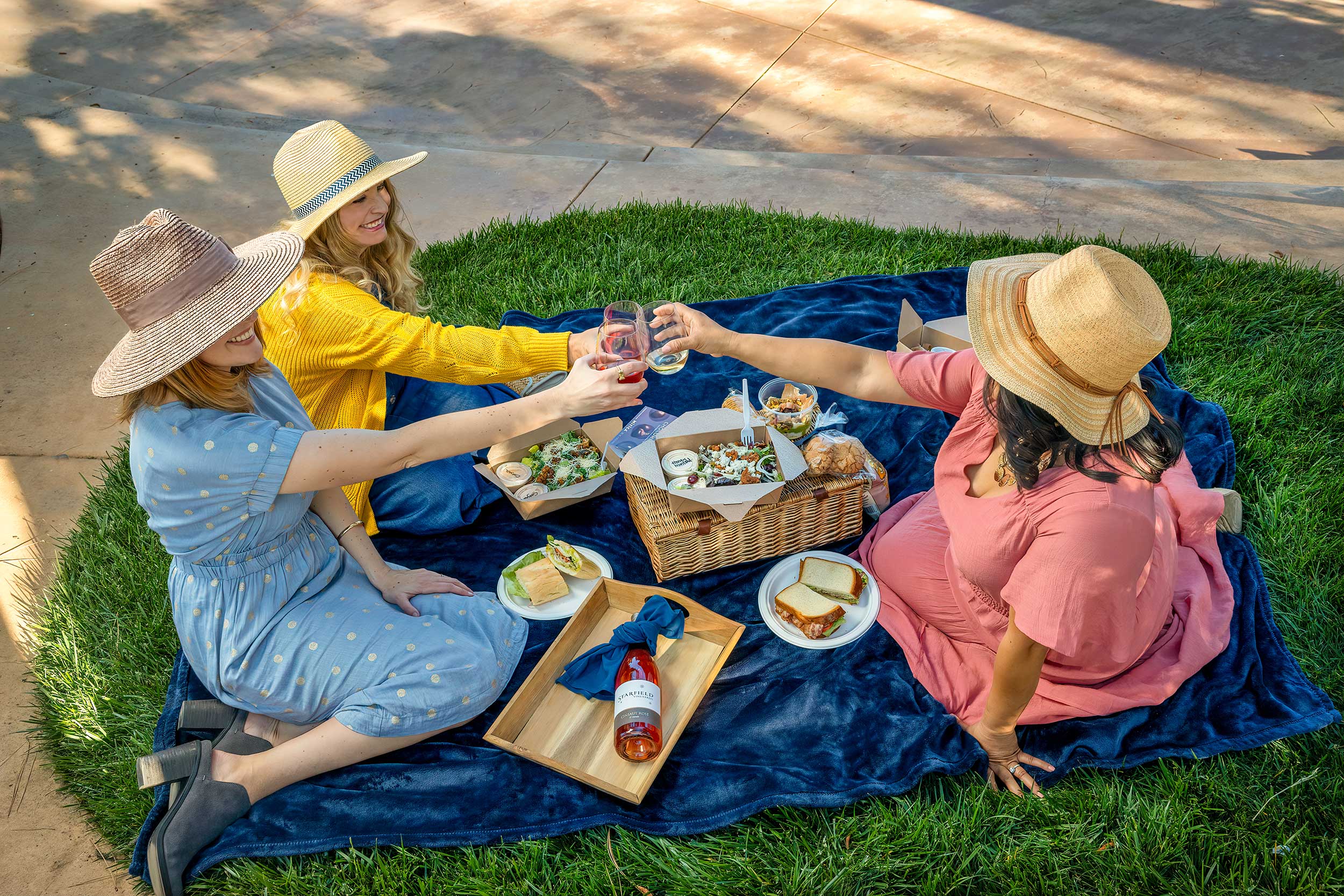 Starfield Wine Country Picnics | Culinary Adventures Food & Wine Pairing Outdoor Activities Wine Tastings Winery Events