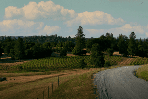 Shadow Ranch Vineyard Fair Play