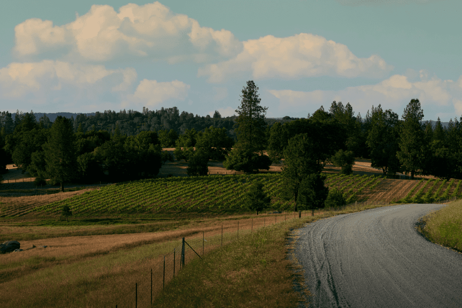 Shadow Ranch Vineyard | Fair Play