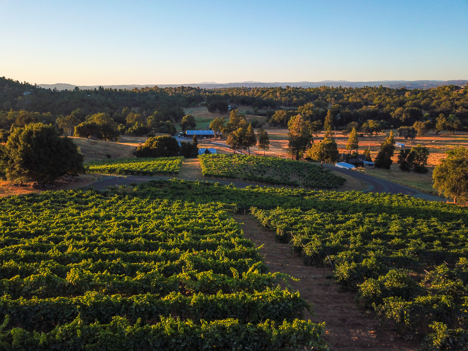 El Dorado Wineries Northern California Mountain Wines El Dorado Wines