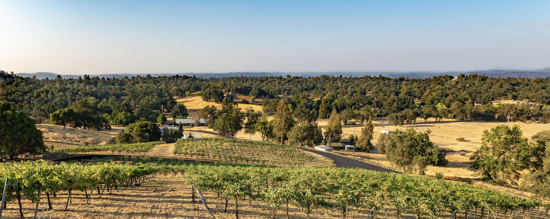 El Dorado County Wine Sierra Foothill Wineries