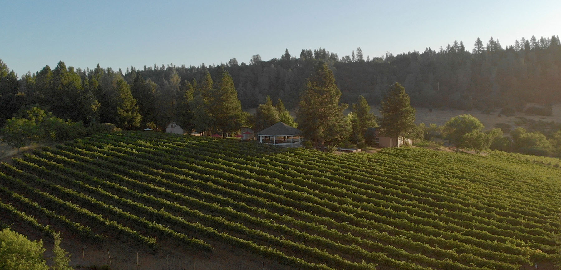 El Dorado Wineries Northern California Mountain Wines El Dorado Wines