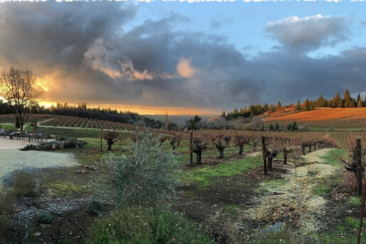 Lava Cap Winery Camino