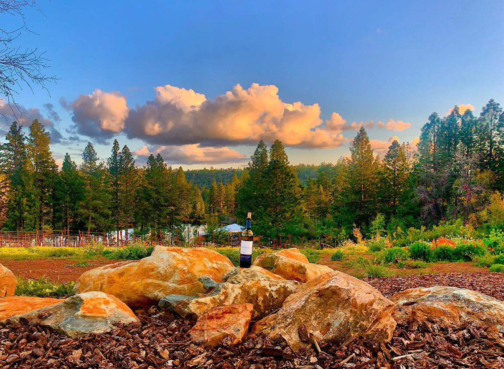 wine tasting in el dorado county