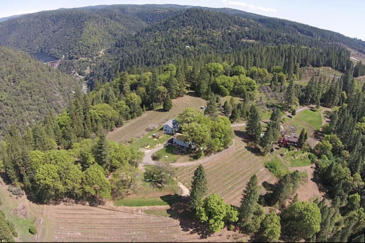 Wofford Acres Vineyard Camino