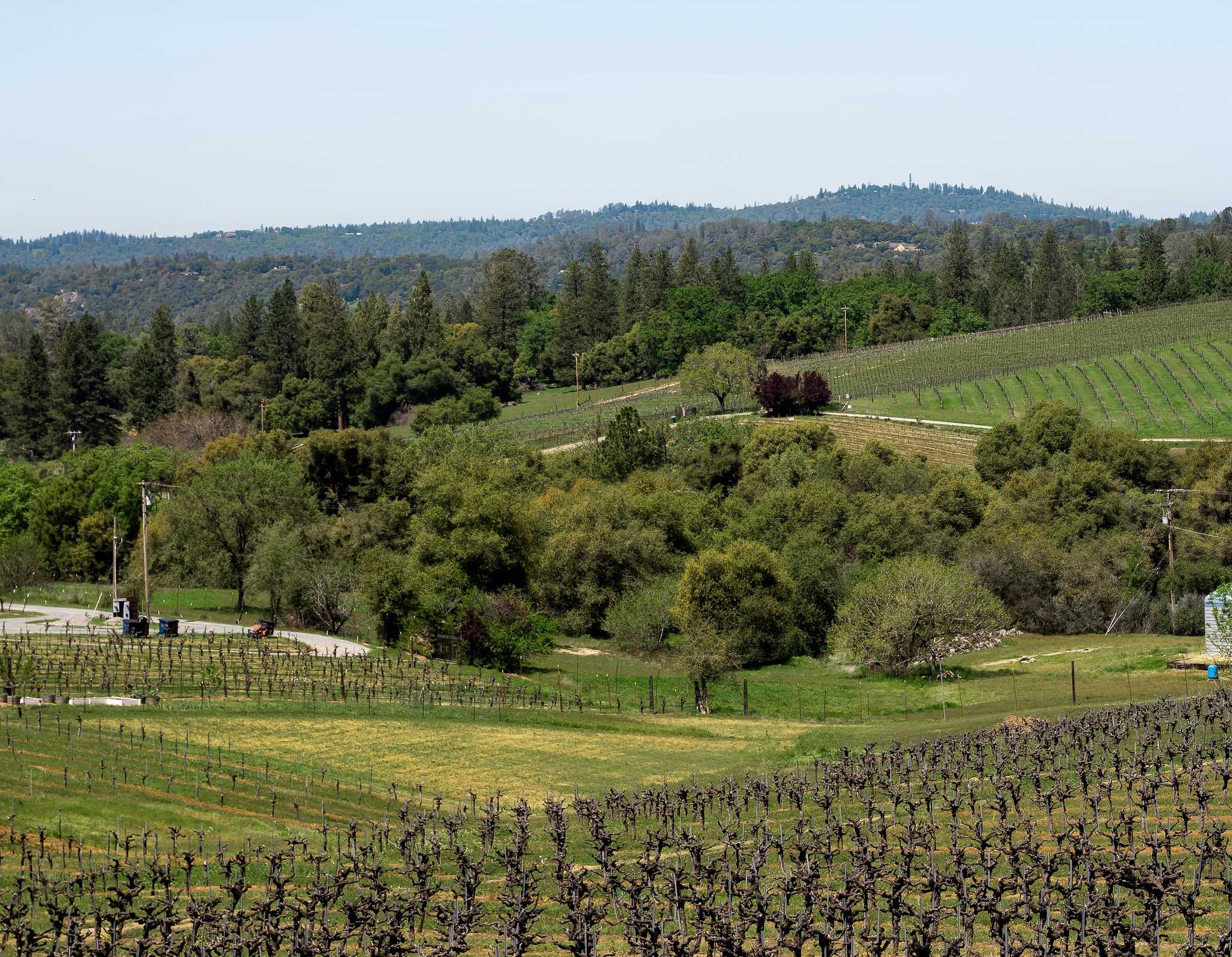 Why El Dorado's Mountain-Grown Wines are Special - El Dorado Wines