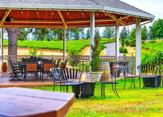 Docmanov Vineyards & Winery Camino