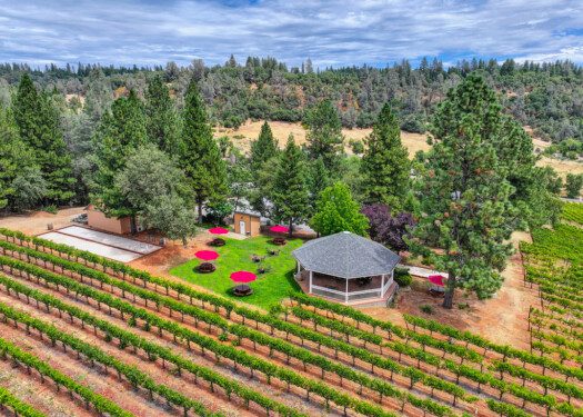 DOCMANOV VINEYARDS & WINERY