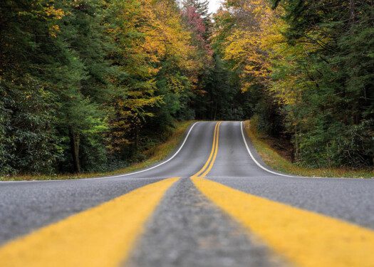 Designated Driver for Hire