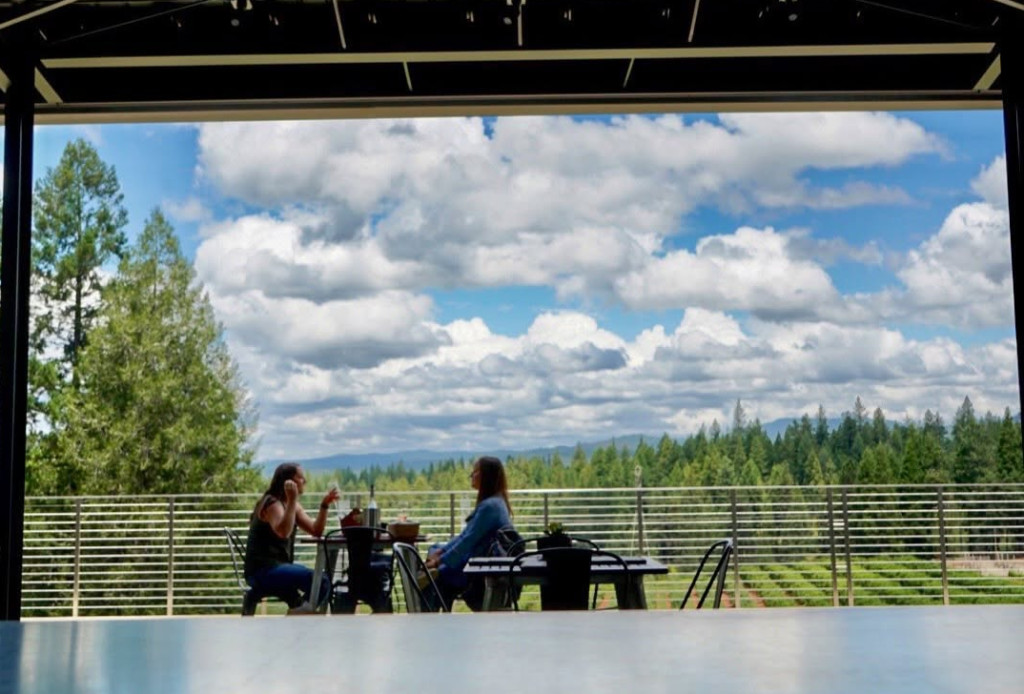 delfino tasting room