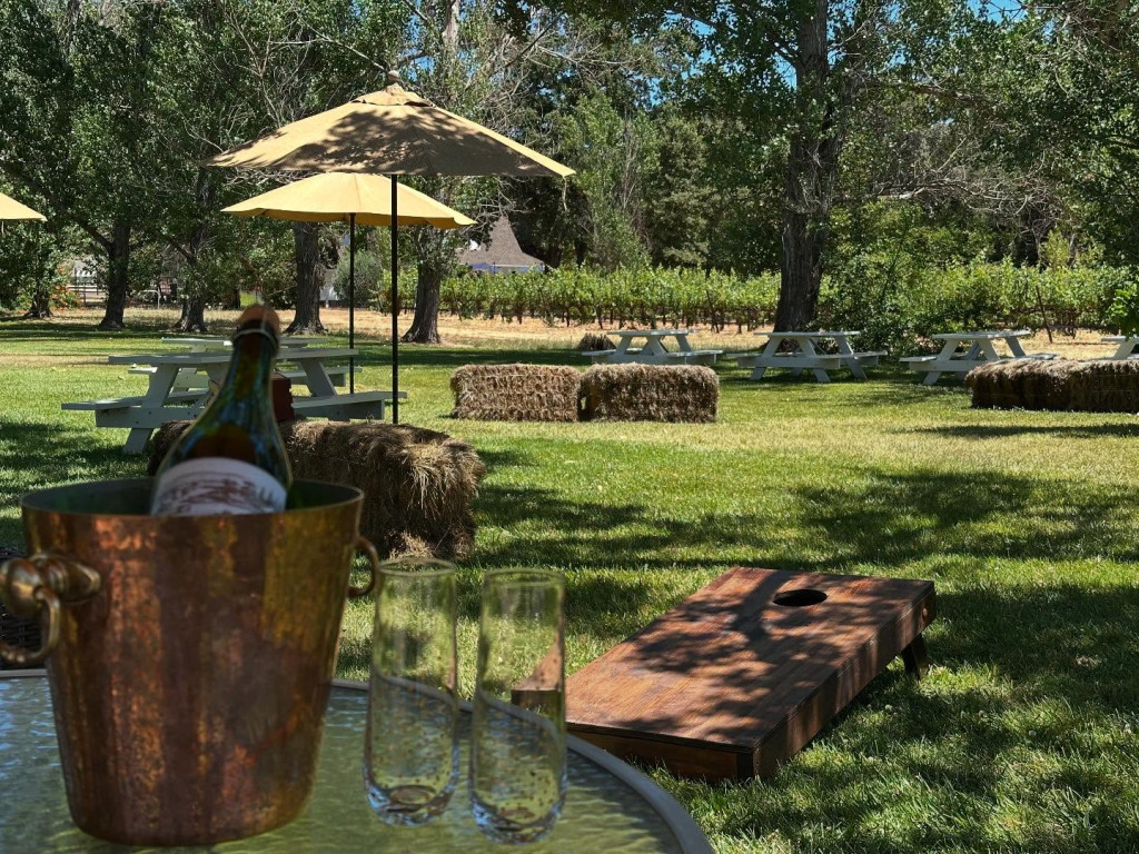 skinner patio
